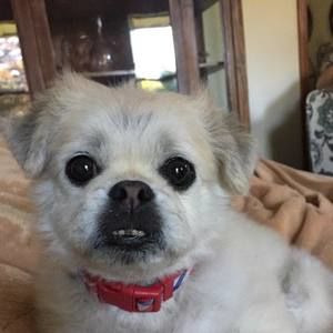 Meet your Posher, Pam